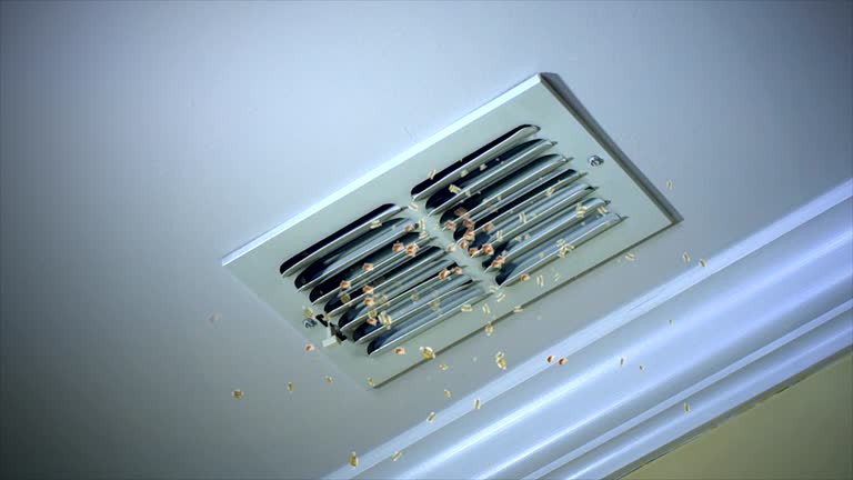 Best Air Duct Cleaning Near Me  in High Bridge, WA
