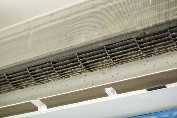 Affordable HVAC Duct Cleaning in WA